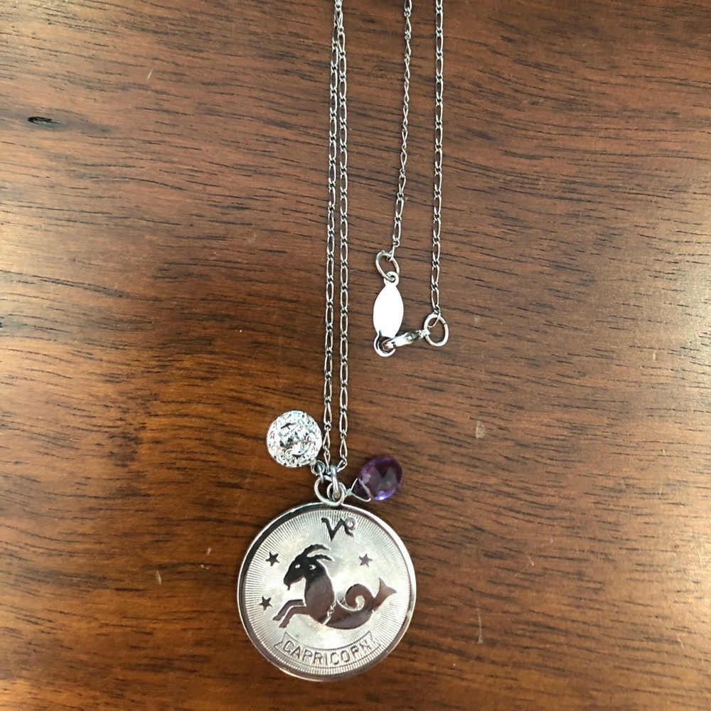 Capricorn Silver Necklace